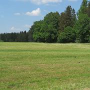 IMG 6228
