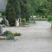 IMG 6260