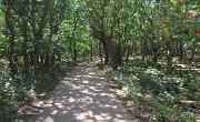 IMG 6864