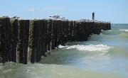 IMG 6881