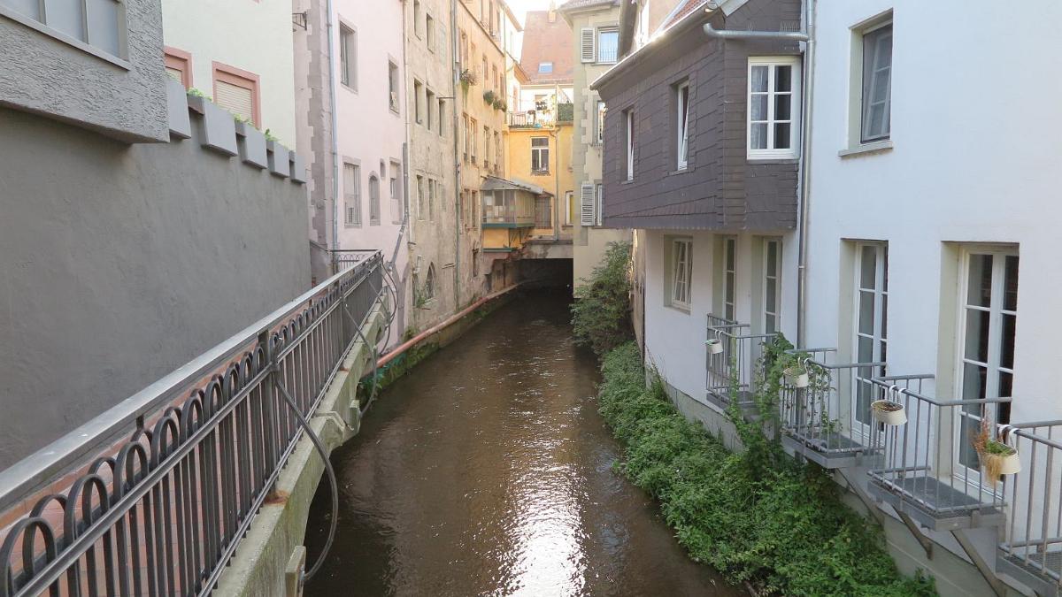 IMG 7279