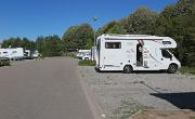 IMG 7167