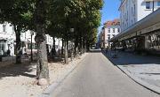 IMG 7175
