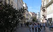 IMG 7183