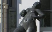 IMG 7266