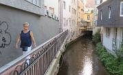 IMG 7278