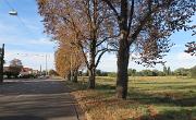 IMG 7281