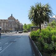 Paris- (235)