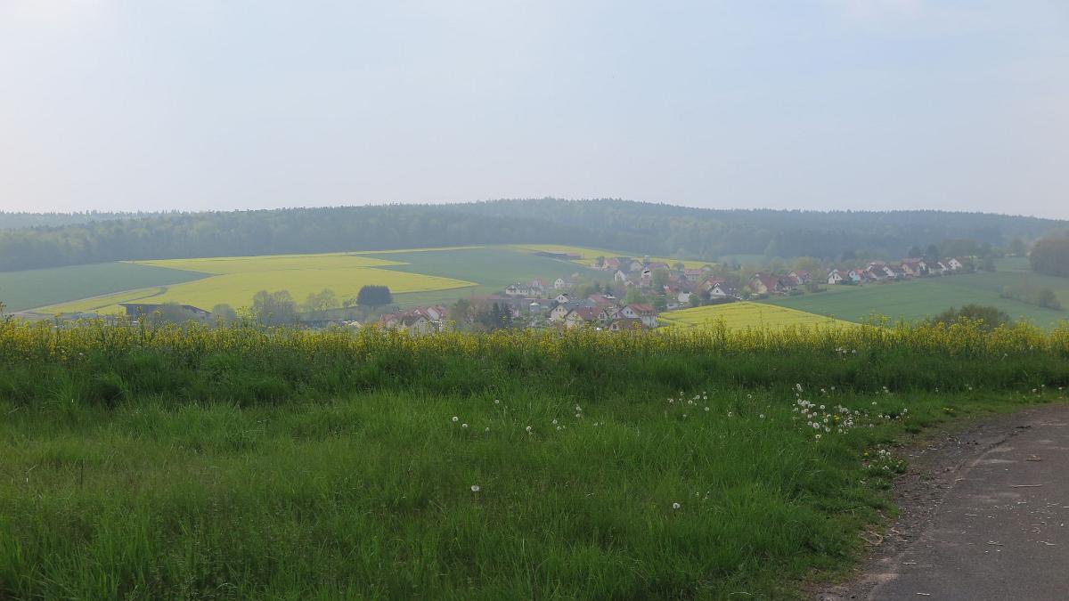 IMG 0809