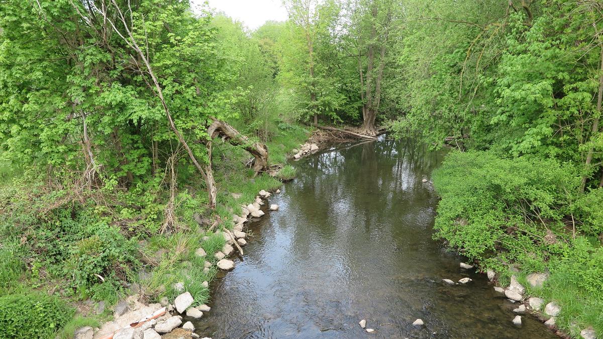 IMG 0810