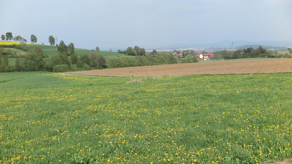 IMG 0877