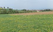 IMG 0877
