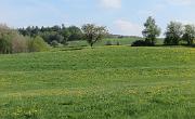 IMG 0891