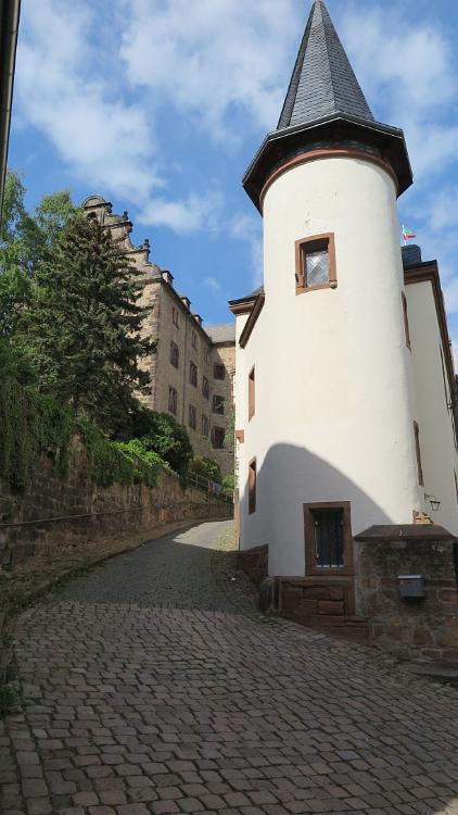 IMG 0980