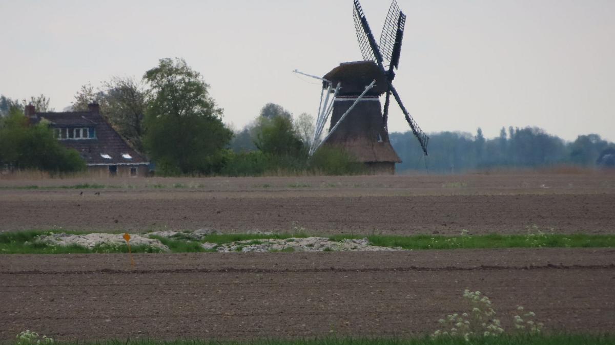 IMG 1803