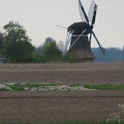 IMG 1803