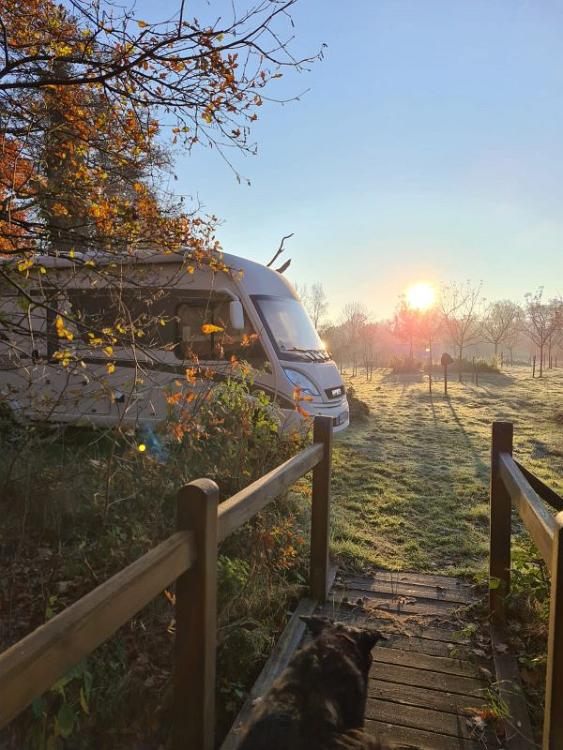 f4e1d847-06fe-49c3-9c6b-df096b1ea2af