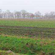 IMG 4042