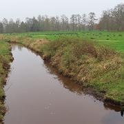 IMG 4044