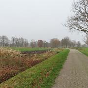 IMG 4047