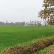 IMG 4048