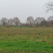 IMG 4049