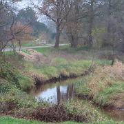 IMG 4056