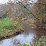 IMG 4060