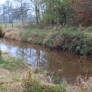 IMG 4061