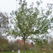 IMG 4065