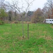 IMG 4069