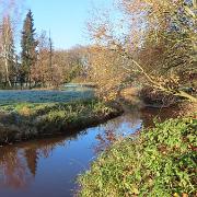 IMG 4081