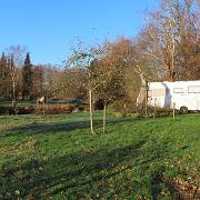 IMG 4087