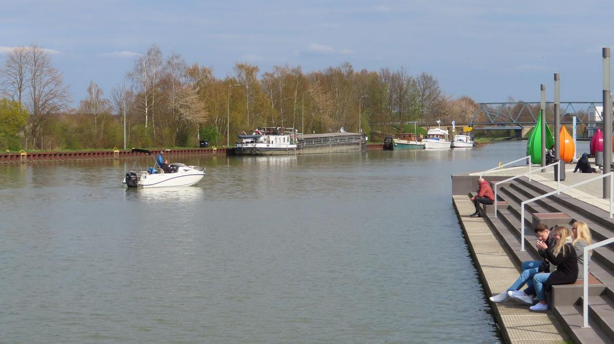 IMG 4534
