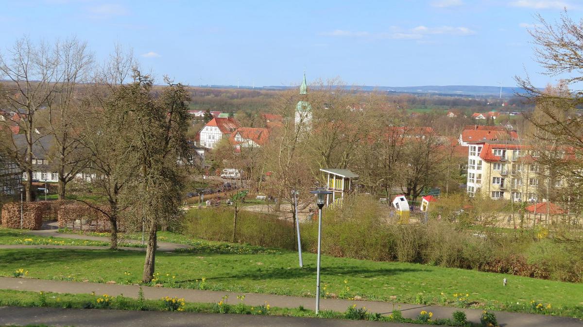 IMG 4596