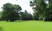 IMG 4825