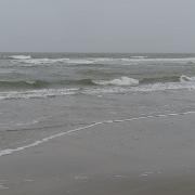 IMG 5720
