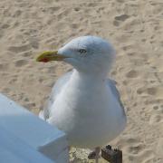 IMG 5765