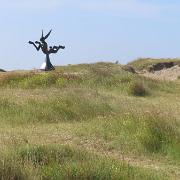 IMG 5806
