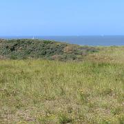 IMG 5812