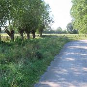 IMG 5818