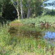 IMG 5821
