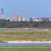 IMG 5827