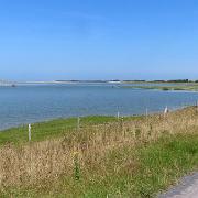 IMG 5835