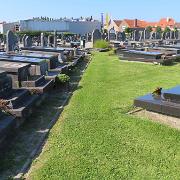 IMG 5852