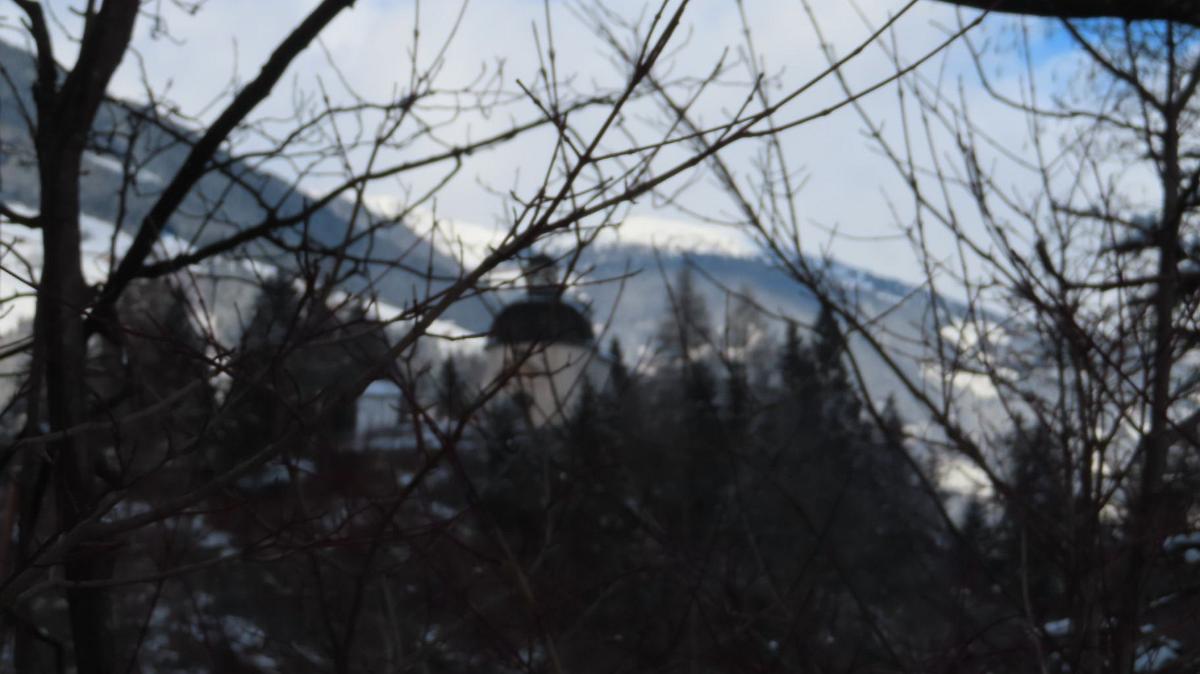 IMG 0927