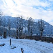 IMG 0729