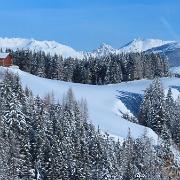 IMG 0781