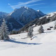 IMG 0793