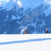IMG 0822